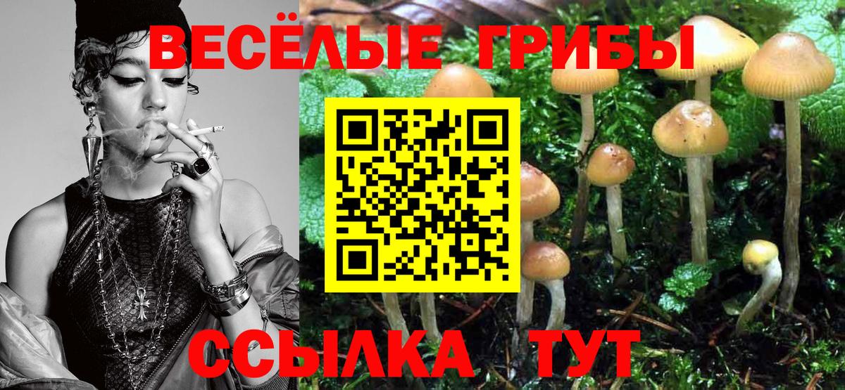 Галлюциногенные грибы прущие грибы  Псилоцибиновые грибы GOLDEN TEACHER  Троицк  Вход с VPN 